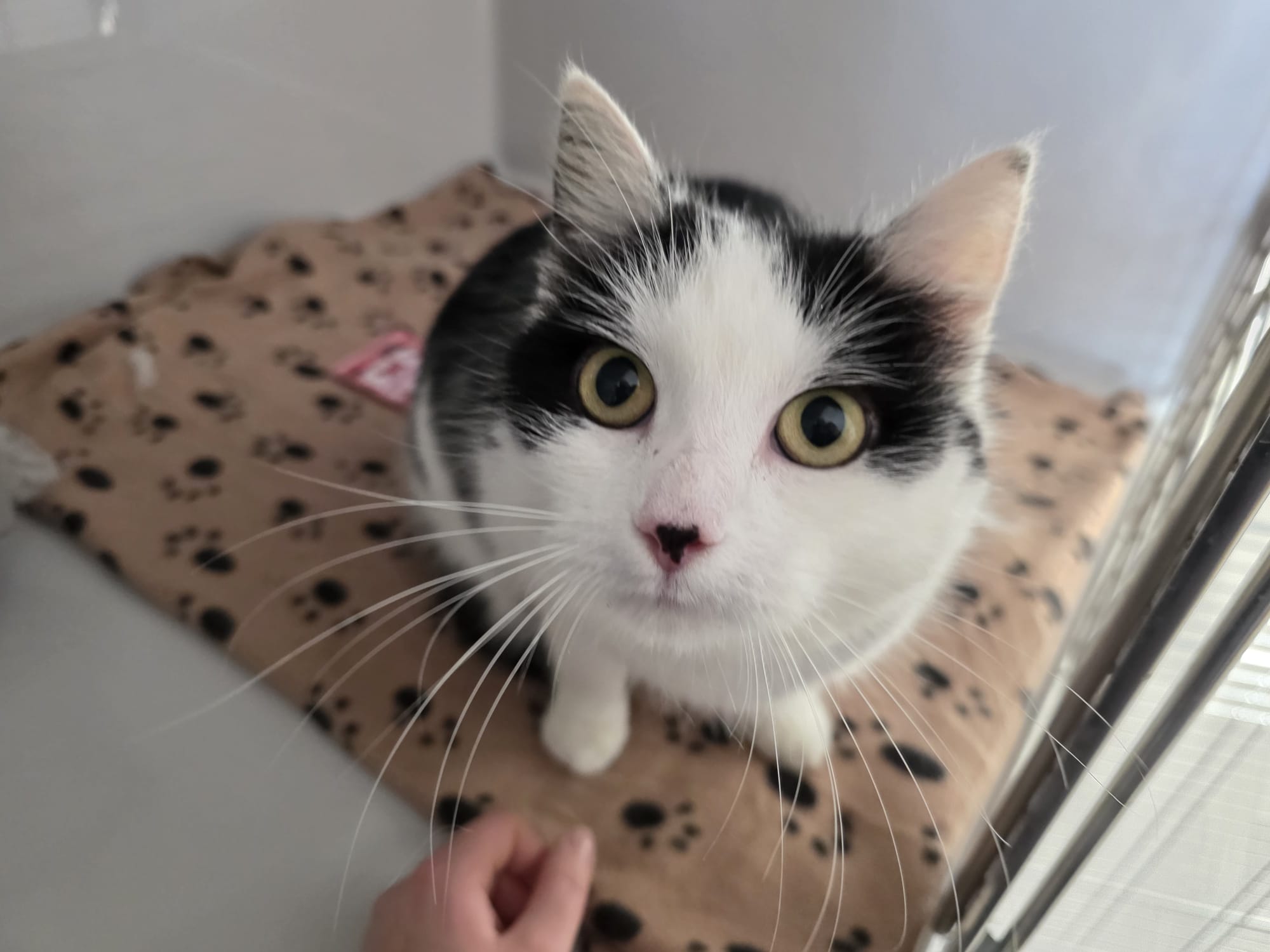 WhatsApp Image 2025-12-26 at 15.33.26 (1).jpeg